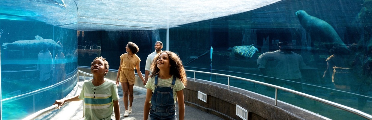 Family walking through aquarium